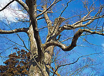 《嗜血印》DLC人气制服系列推出 秘书护士学生装