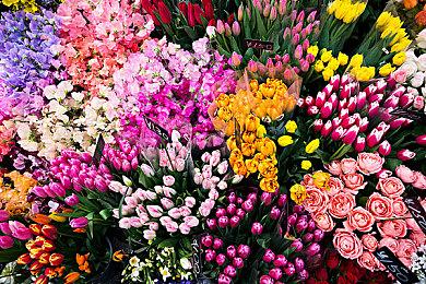 《P4U2》Remaster版PS4、Steam平台回滚式网络代码公开测试现已开启