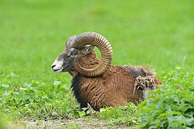 《战争地带2.0》没有改名币怎么进入游戏|一直登入在线服务器问题解决方法